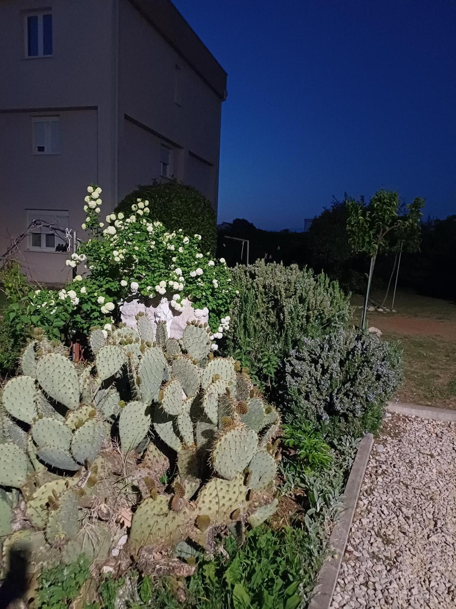 Villa Ana Međugorje Εξωτερικό φωτογραφία