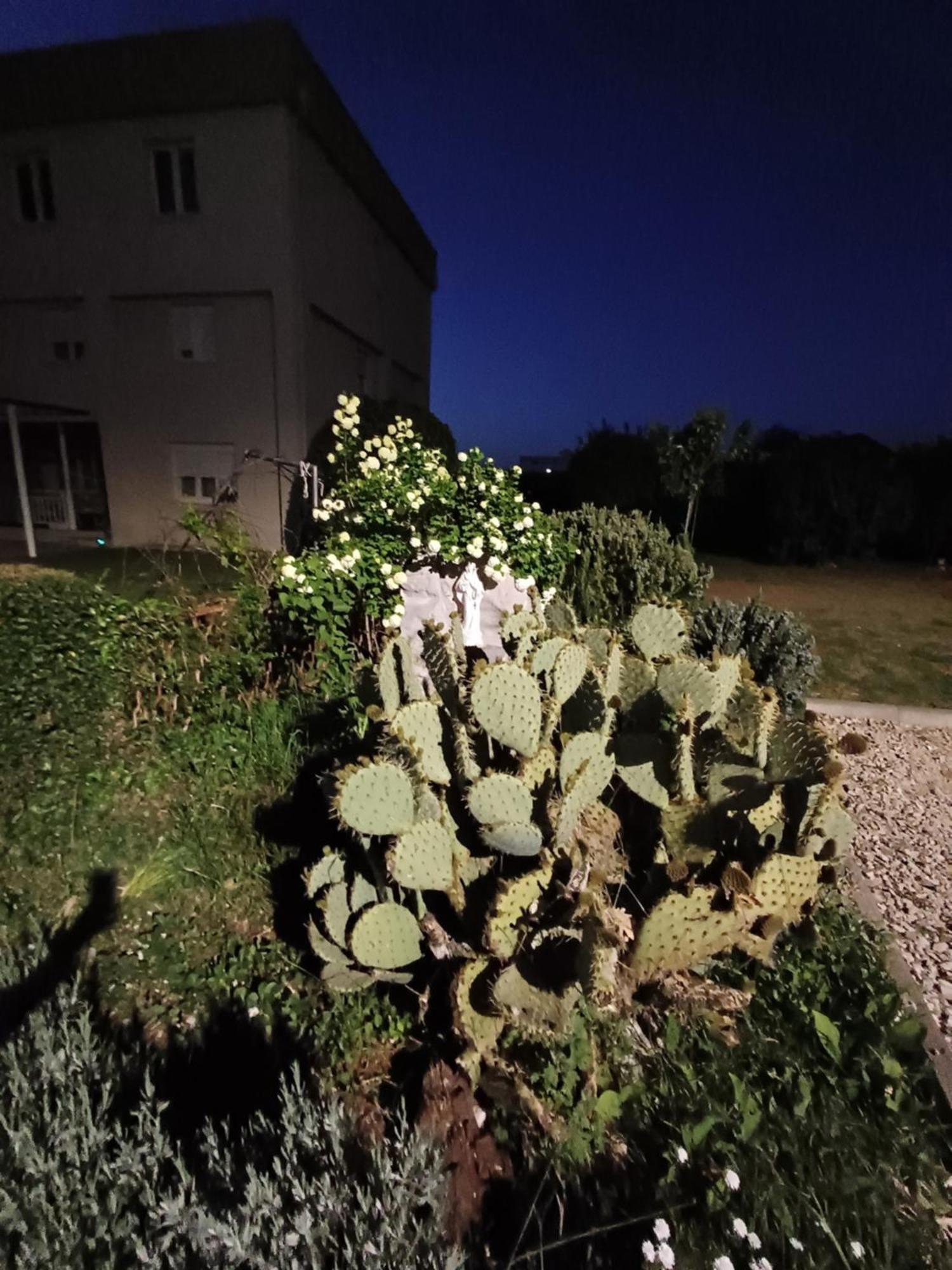 Villa Ana Međugorje Εξωτερικό φωτογραφία