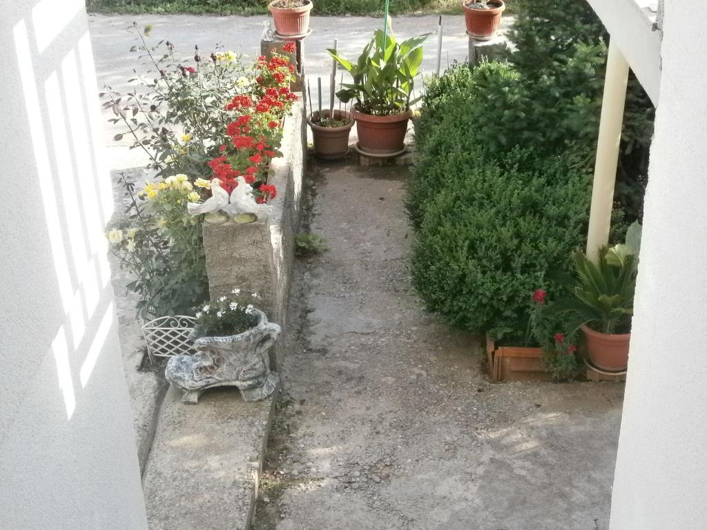 Villa Ana Međugorje Εξωτερικό φωτογραφία