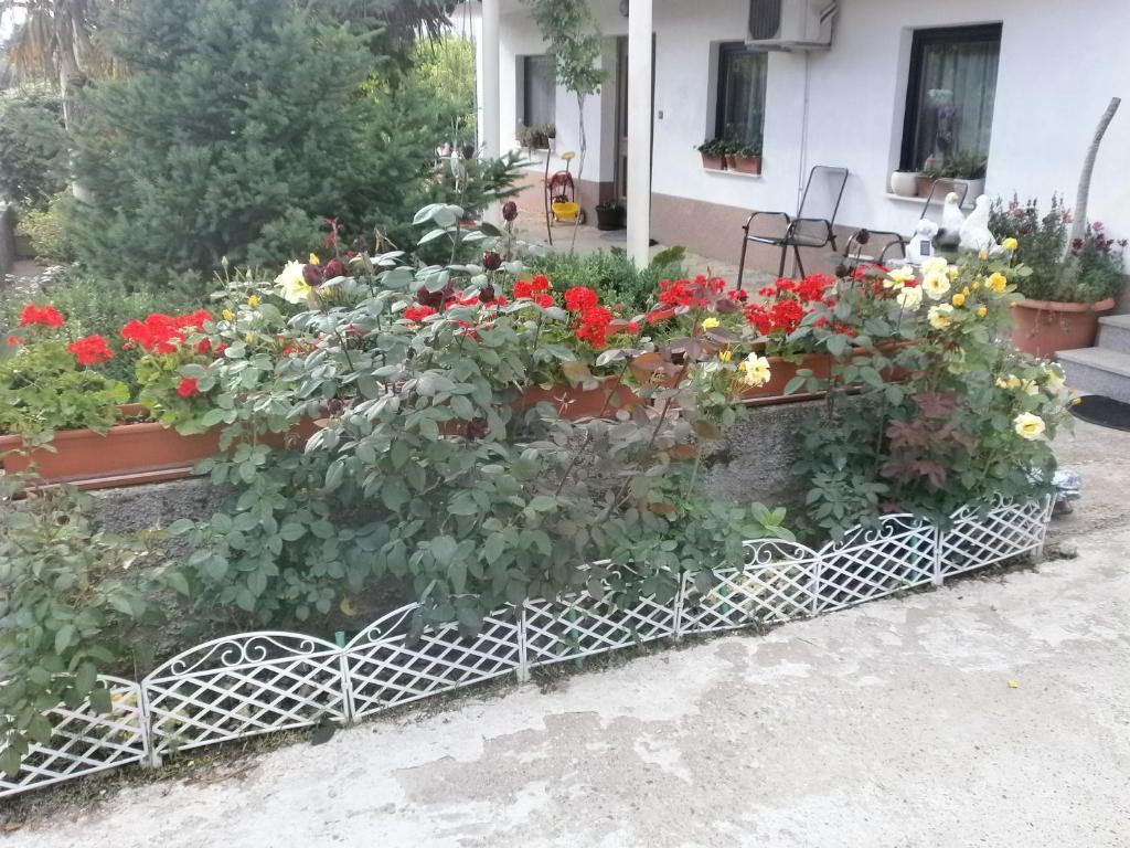 Villa Ana Međugorje Εξωτερικό φωτογραφία